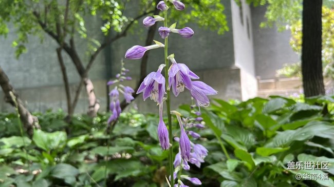 【捕捉夏日美好】假期尾巴