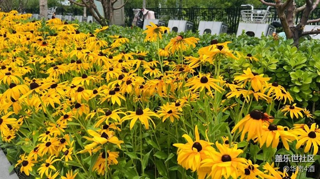 【捕捉夏日美好】假期尾巴