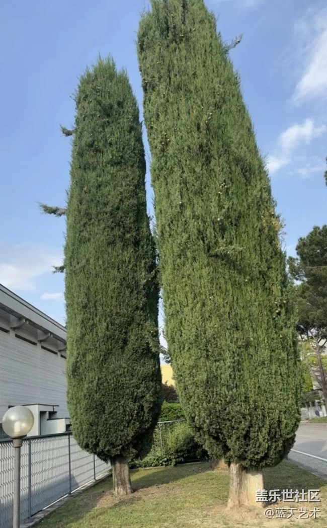 【那年初秋】随手拍