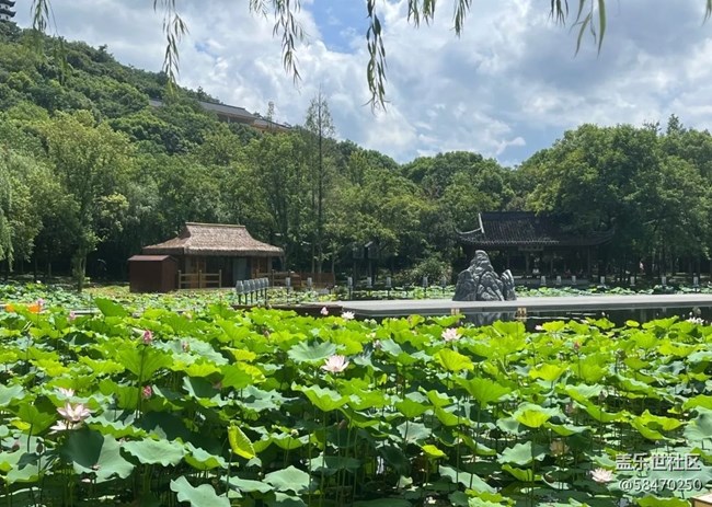 #我喜欢的摄影模式——风景