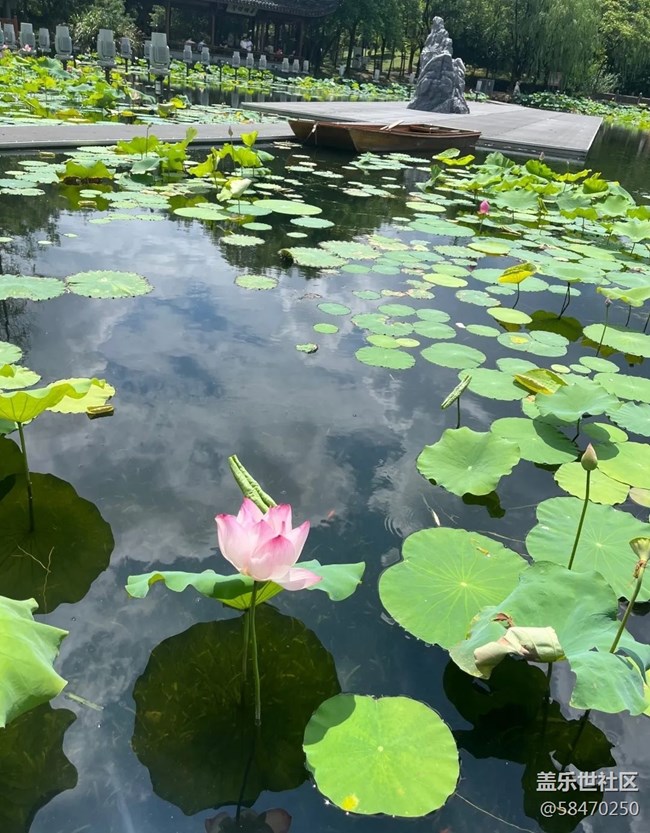#我喜欢的摄影模式——风景