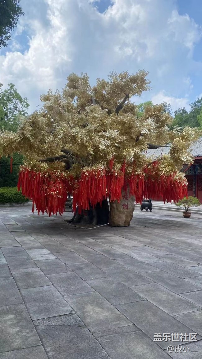 【寻一份美好】假期结束了