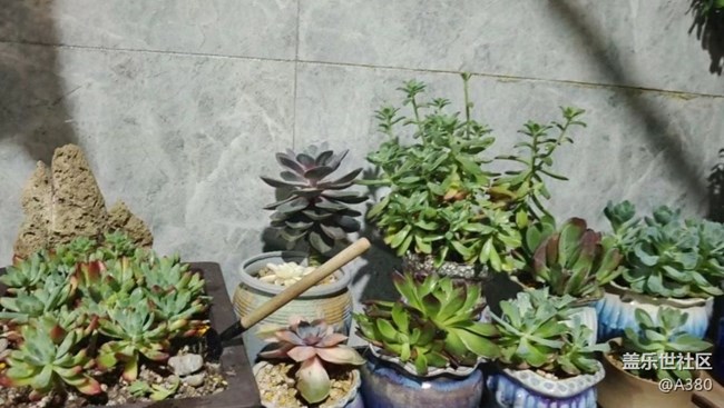 【那年初秋】阳台一角