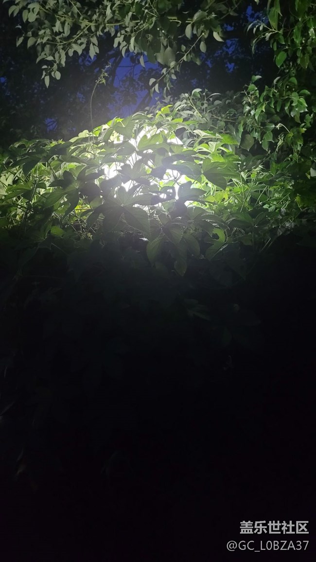 #我喜欢的摄影模式——夜拍模式