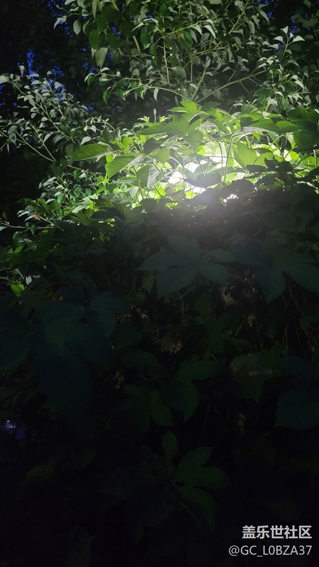 #我喜欢的摄影模式——夜拍模式