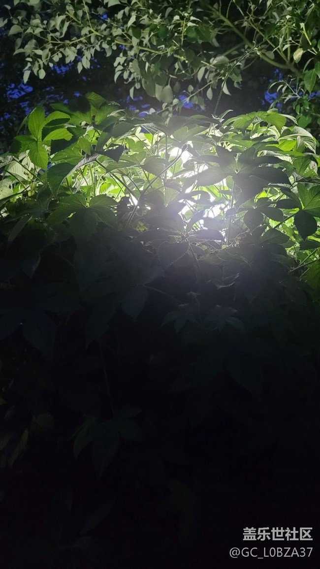 #我喜欢的摄影模式——夜拍模式