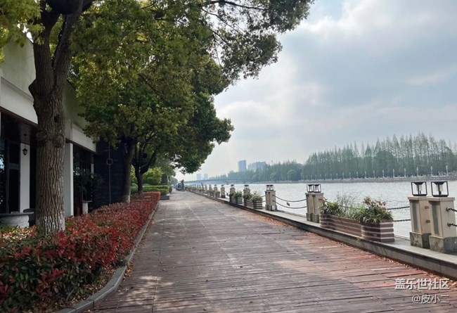 【街景】风情街