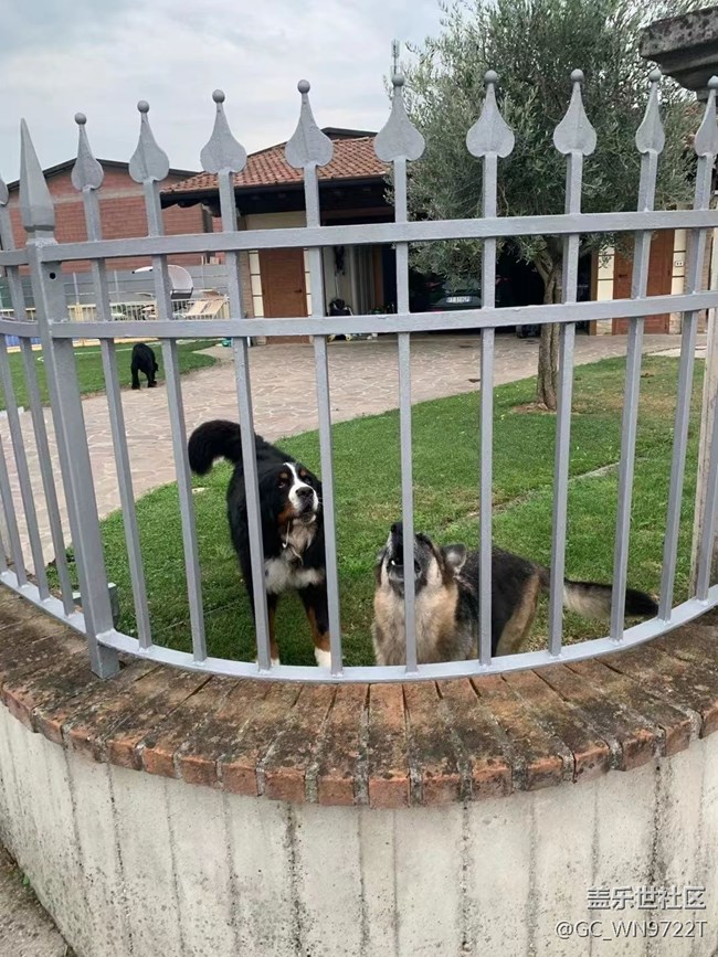 【捕捉夏日美好】夏日风景