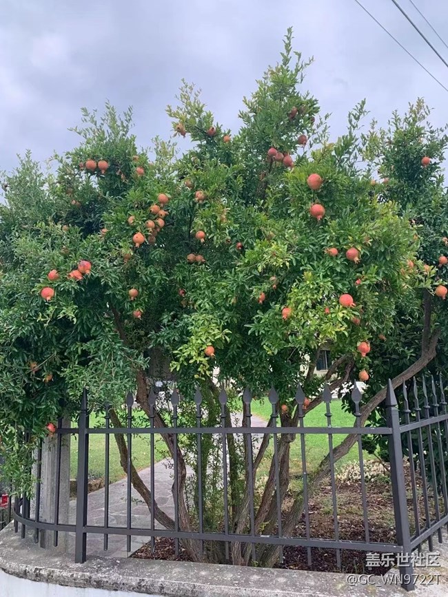 【捕捉夏日美好】夏日风景