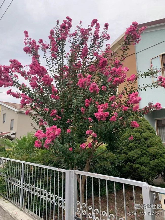 【捕捉夏日美好】夏日风景