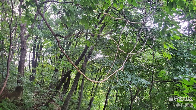 【捕捉夏日美好】山水之间