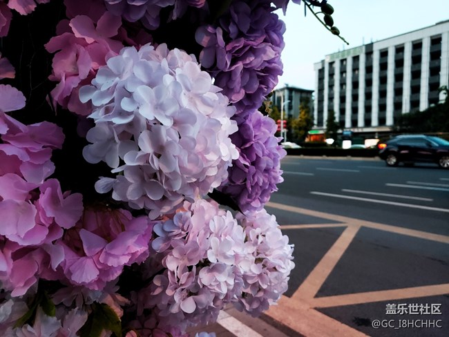 【街景】+鲜花公交车站