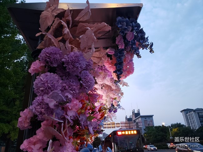 【街景】+鲜花公交车站