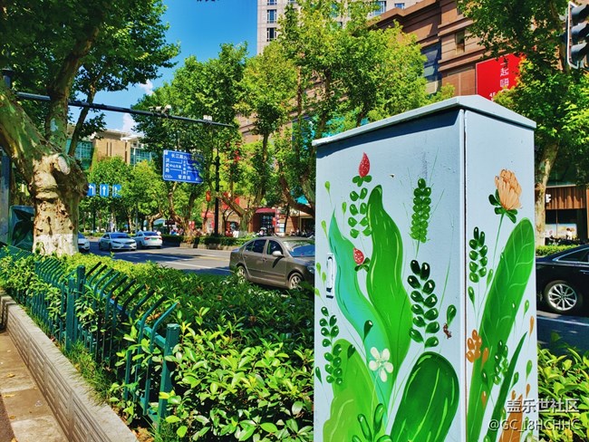 【街景】+一条繁华路