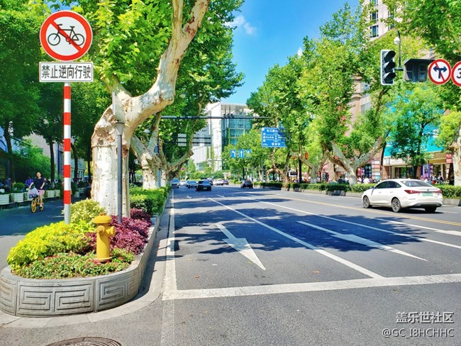 【街景】+一条繁华路