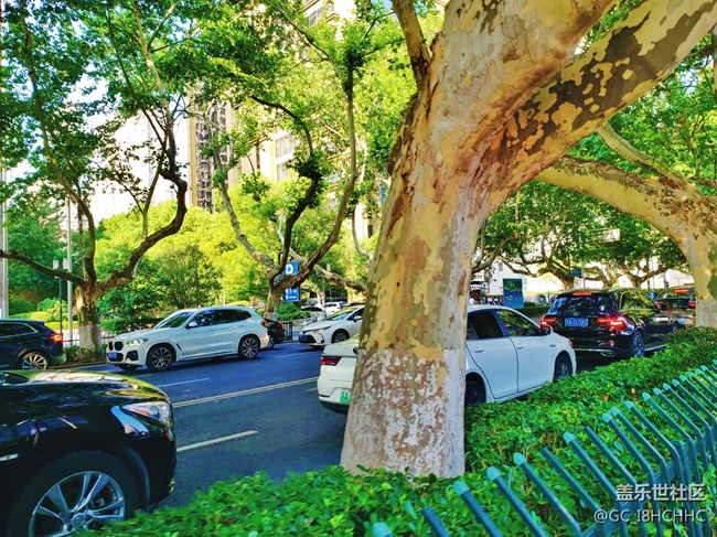 【街景】+长江路西