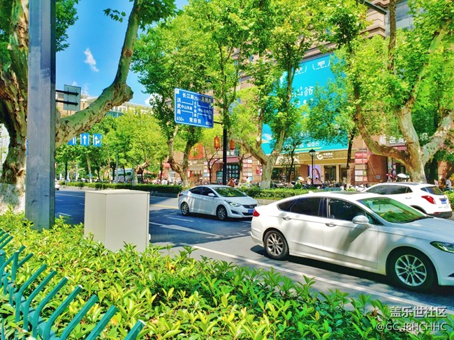 【街景】+一条繁华路