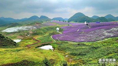 【再见夏天】+被风吹过的夏天