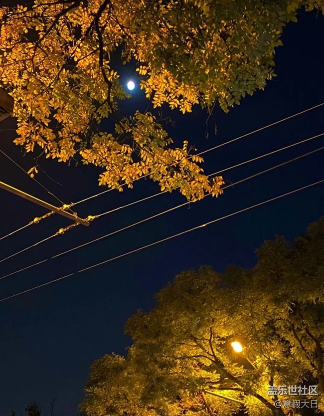 【夜景街头】夜晚随拍