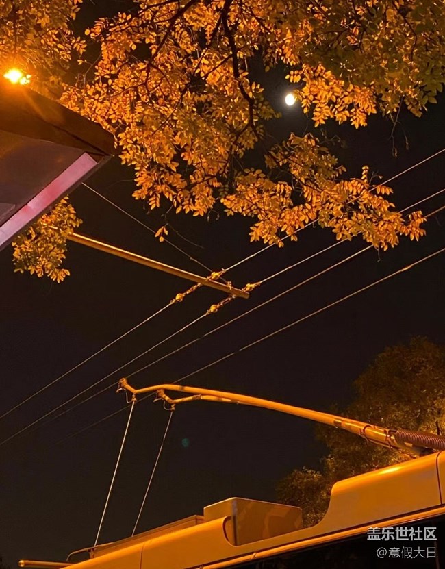 【夜景街头】夜晚随拍