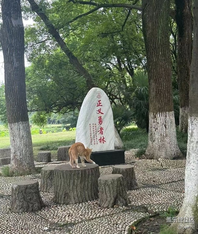 【那年初秋】公园