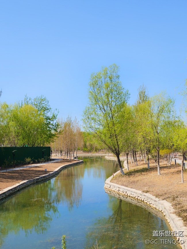 早春时的景色