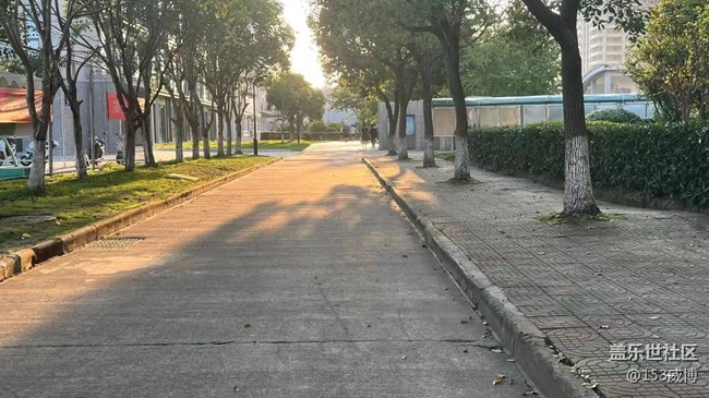 【城市天际线】傍晚