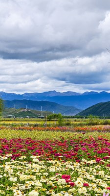 【双节同庆】+带着三星去遇见山海