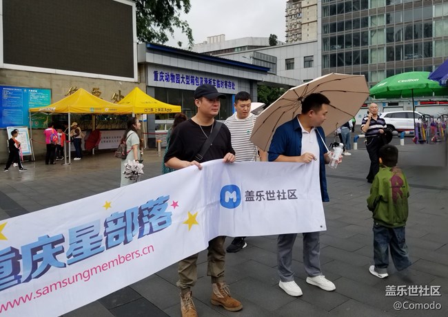 【重庆动物园】打卡大熊猫