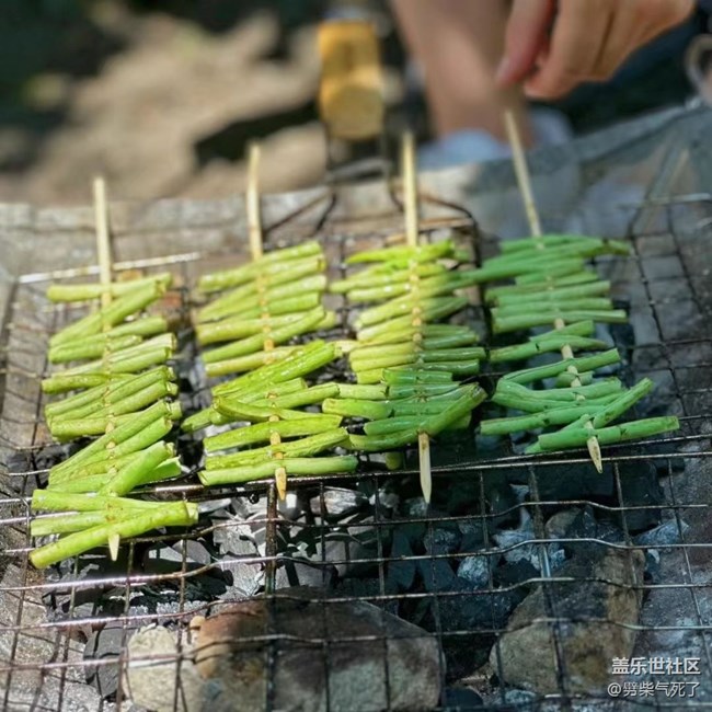 【月明桂香】野外烧烤