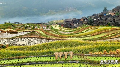 【双节小长假】黔东南云游加榜梯田