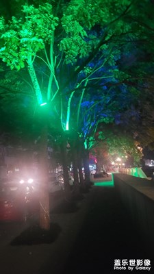 【双节小长假】秋风起