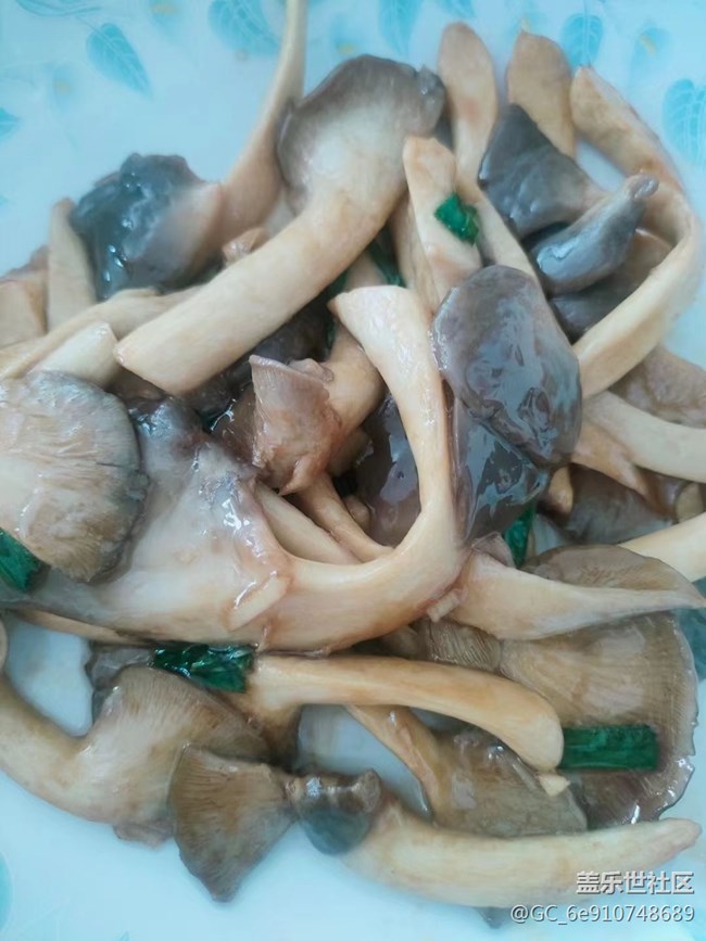 【月明桂香】吃饭