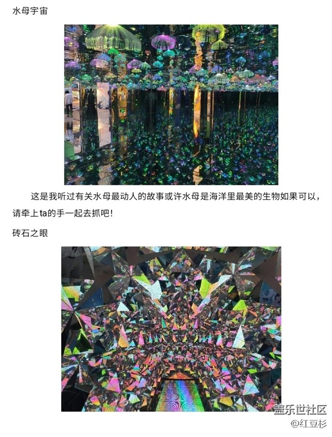沈阳梵高星空艺术展活动回顾