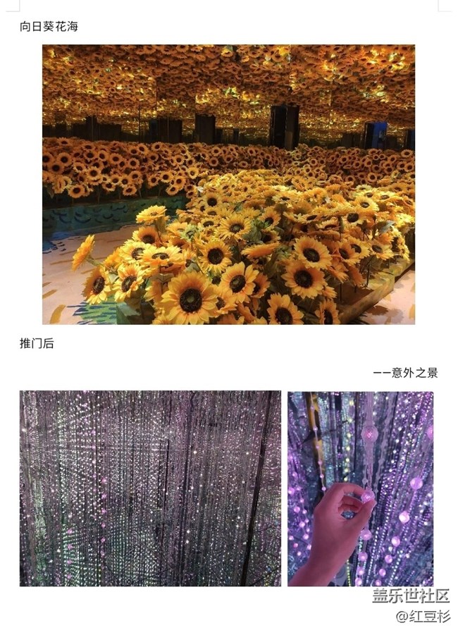 沈阳梵高星空艺术展活动回顾
