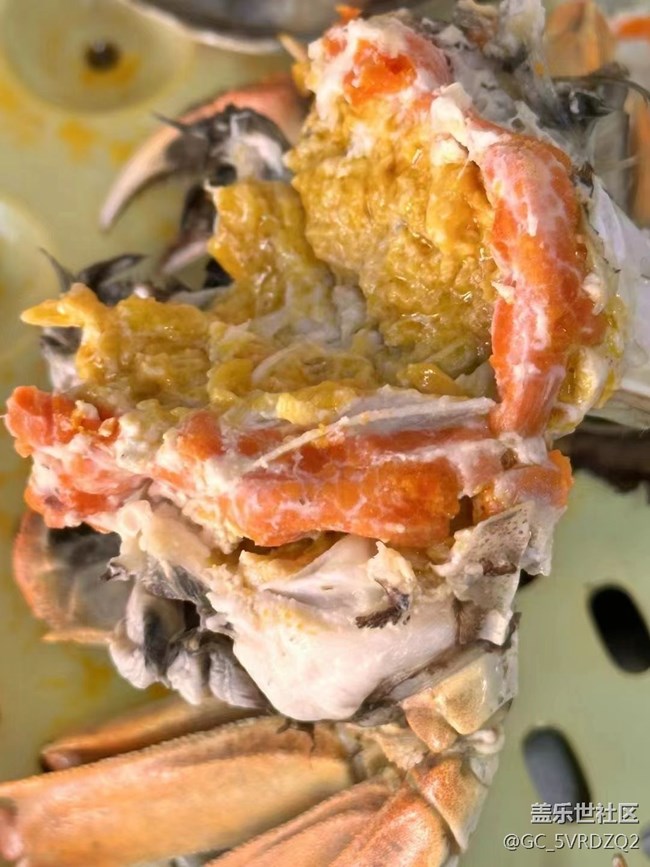 【菊香蟹肥】吃蟹季