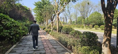 通过微信随手怕的，献丑了~！！！