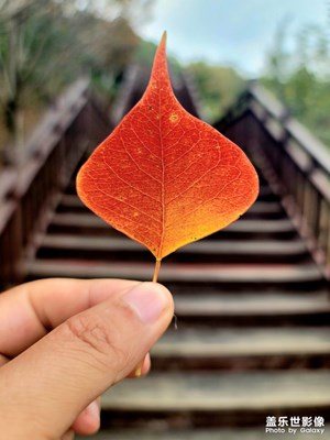 【影像的魅力】+深秋即景
