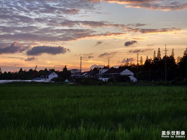 《精品大咖秀》 第二十五期:新的兴趣版块选什么? 《精品大咖秀》 第二十五期:新的兴趣版块选什么?