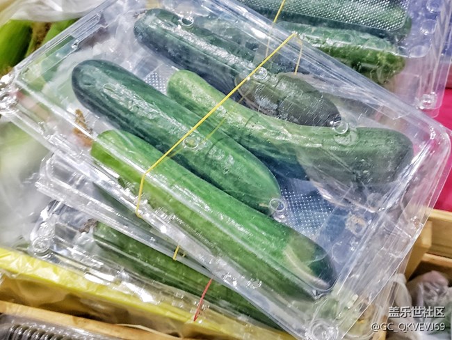 【环保小卫士】+团粒营养土