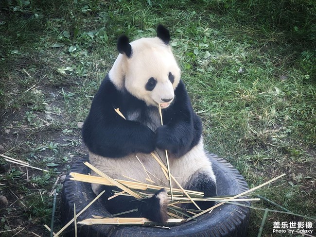 《精品大咖秀》 第二十五期:新的兴趣版块选什么? 《精品大咖秀》 第二十五期:新的兴趣版块选什么?