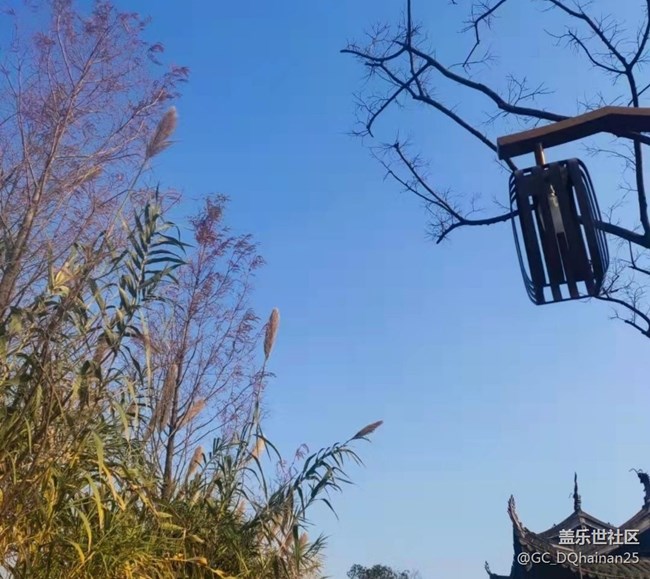 【秋日胜春朝】逛公园
