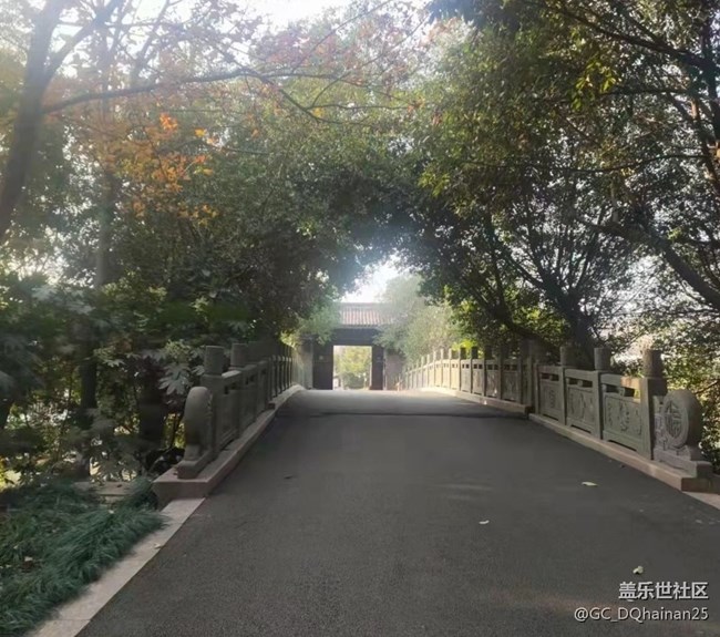 【秋日胜春朝】逛公园