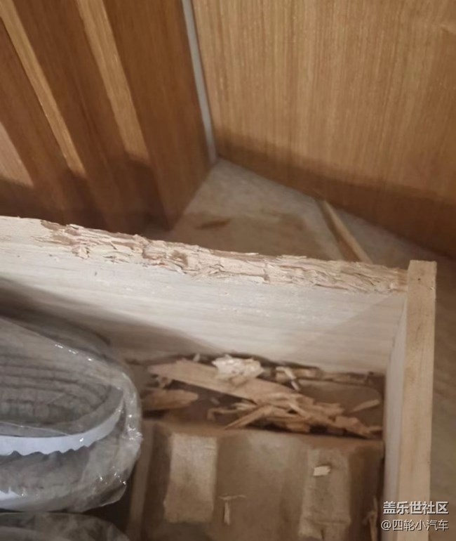我和爱宠的故事     钢牙妹