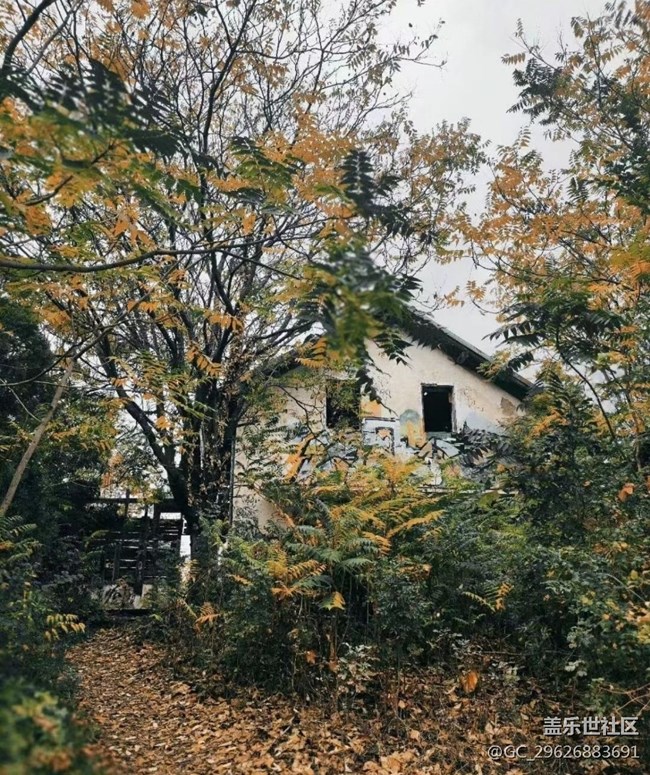 【抓住秋天的尾巴】美丽秋景
