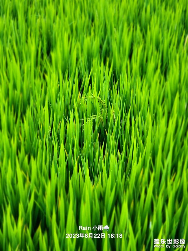 《精品大咖秀》 第二十六期：2023年的最后一个月