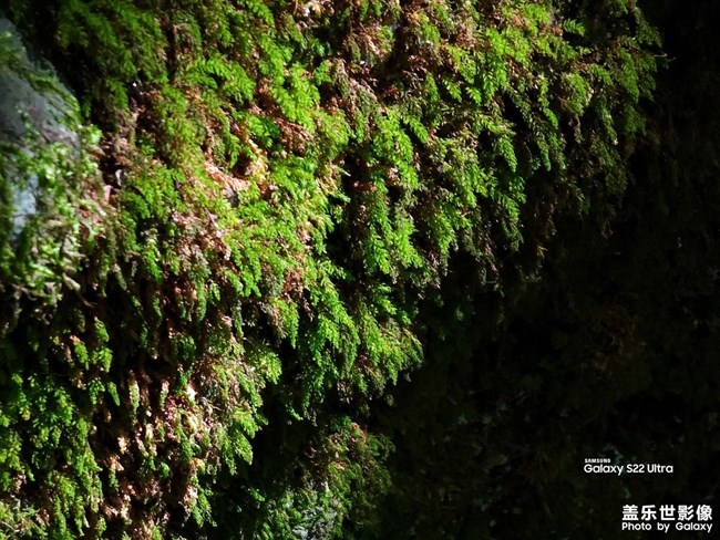 《精品大咖秀》 第二十六期：2023年的最后一个月