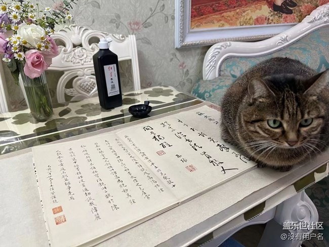 我和爱宠的故事       绊脚猫