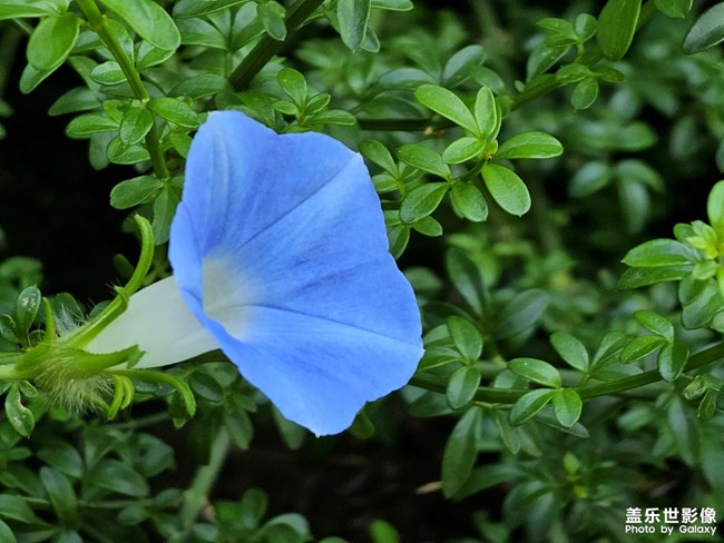 《精品大咖秀》 第二十六期：2023年的最后一个月