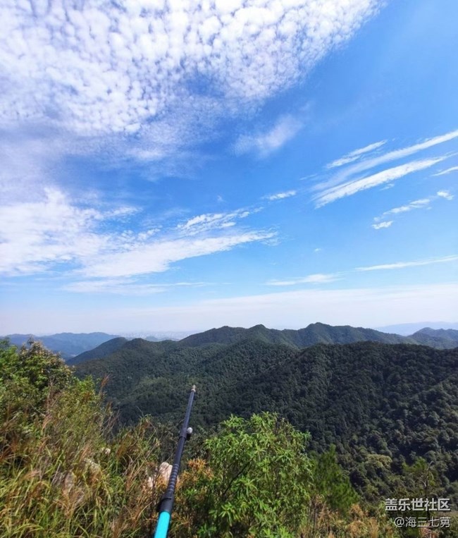 【秋日胜春朝】进山